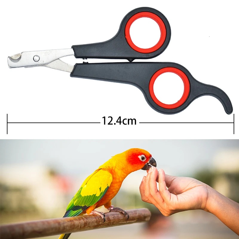 Ciseaux à ongles pour animaux  - Grooming Scissors avis et prix